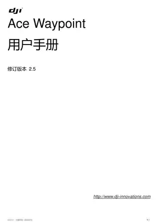 DJI大疆Ace Waypoint